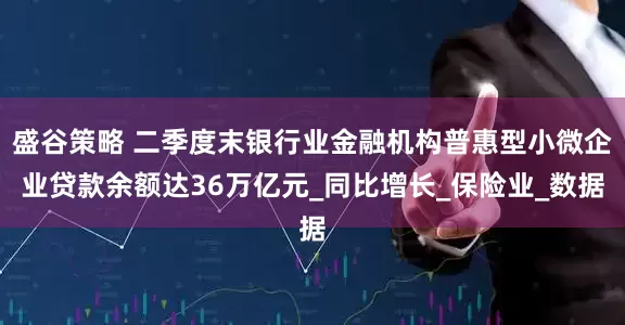 盛谷策略 二季度末银行业金融机构普惠型小微企业贷款余额达36万亿元_同比增长_保险业_数据