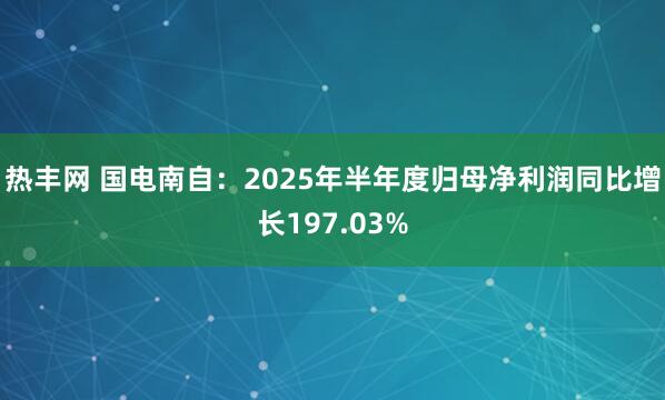 热丰网 国电南自：2025年半年度归母净利润同比增长197.03%