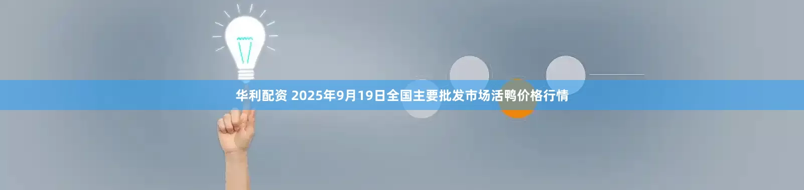 华利配资 2025年9月19日全国主要批发市场活鸭价格行情