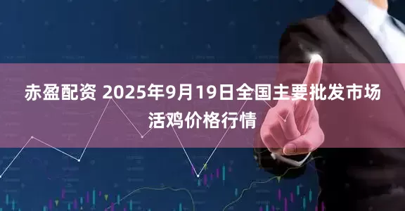 赤盈配资 2025年9月19日全国主要批发市场活鸡价格行情